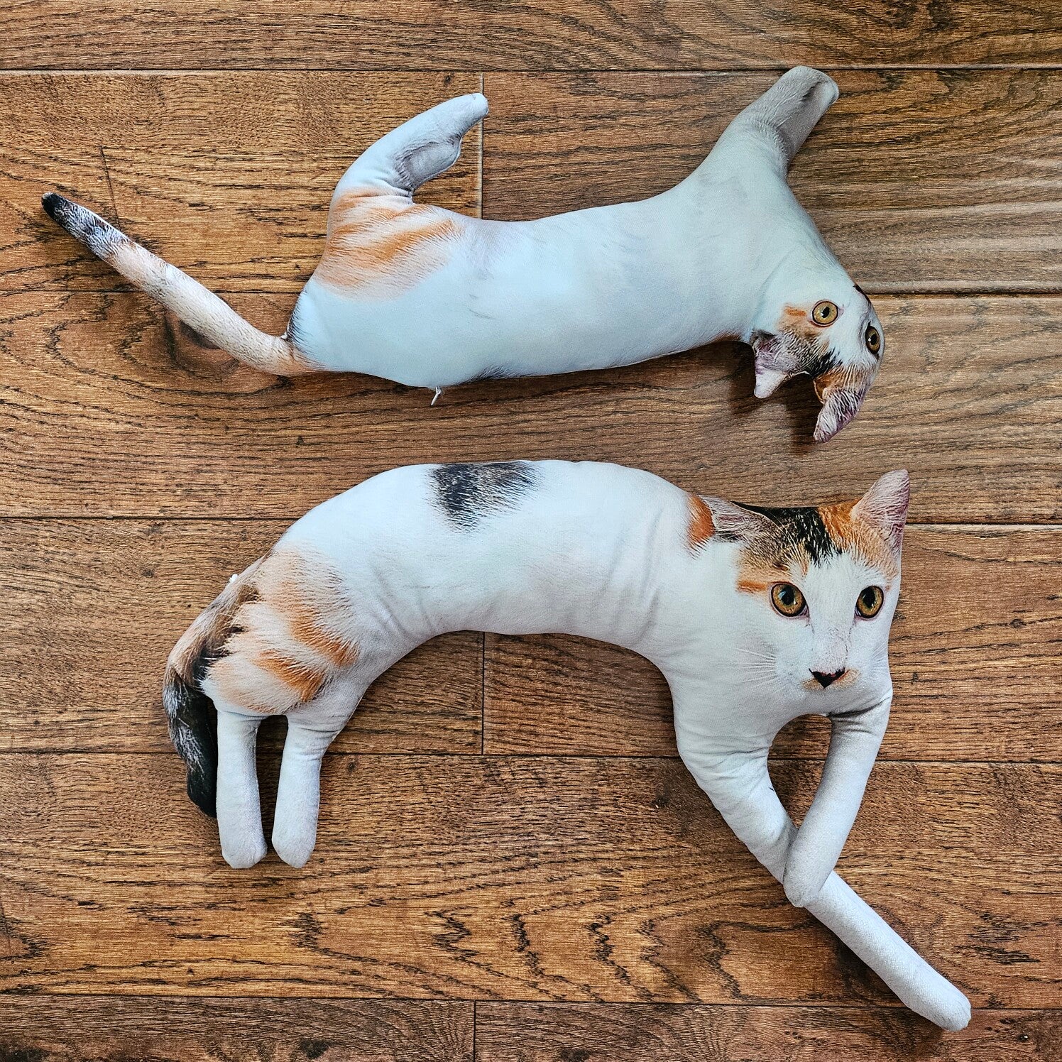 Hilarious and Lifelike Custom Pet Plushies