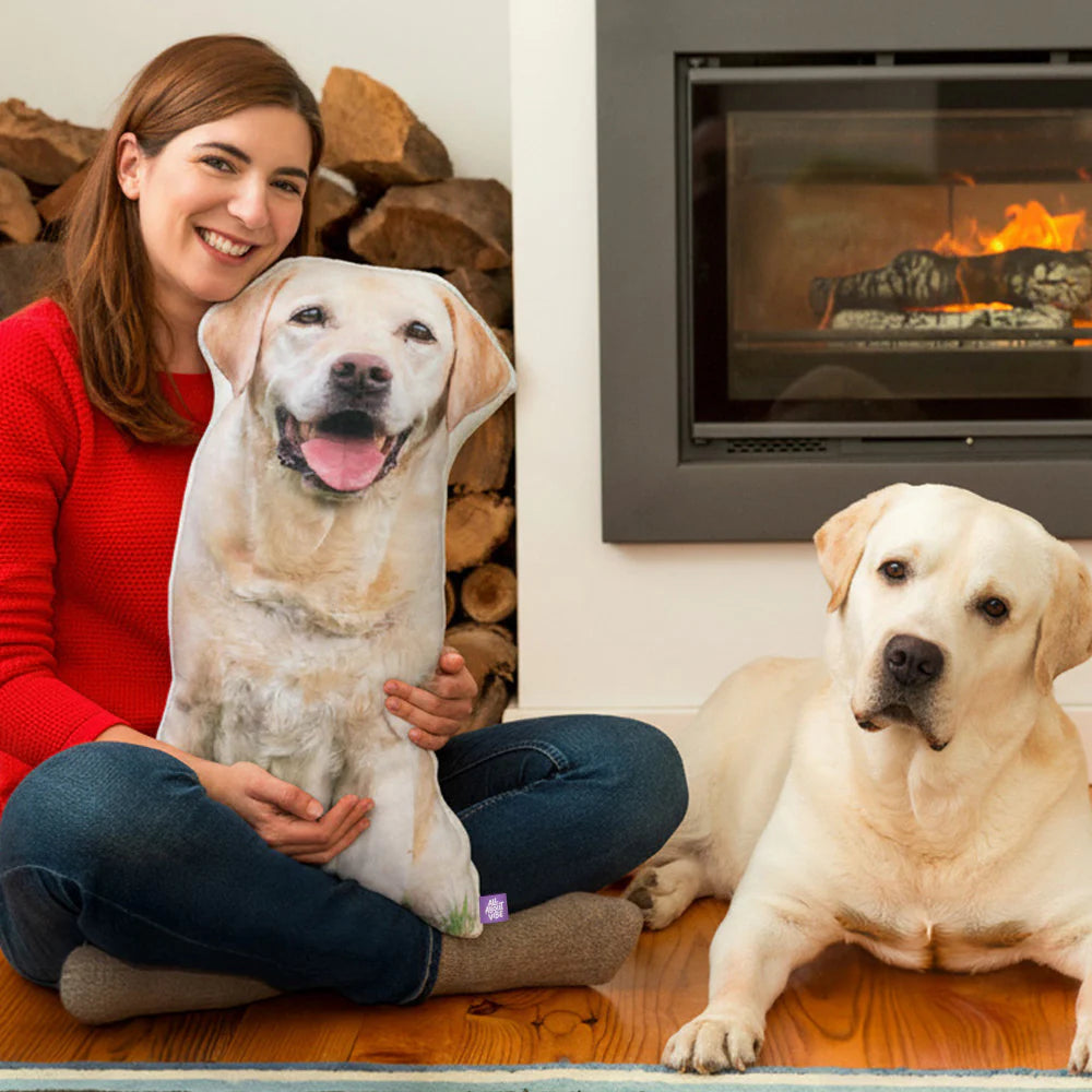 Hilarious and Lifelike Custom Pet Plushies