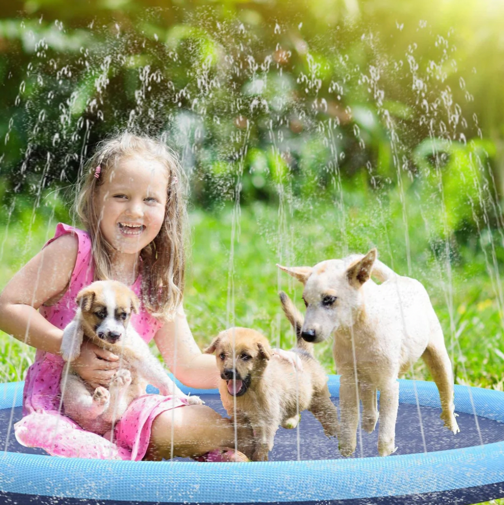 Splash Sprinkling Dog Pool