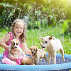 Splash Sprinkling Dog Pool